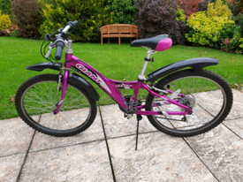 giant mtx 250 mountain bike price